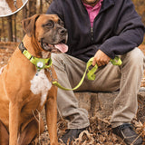 Protective Sleeve For Pet Training Tracker