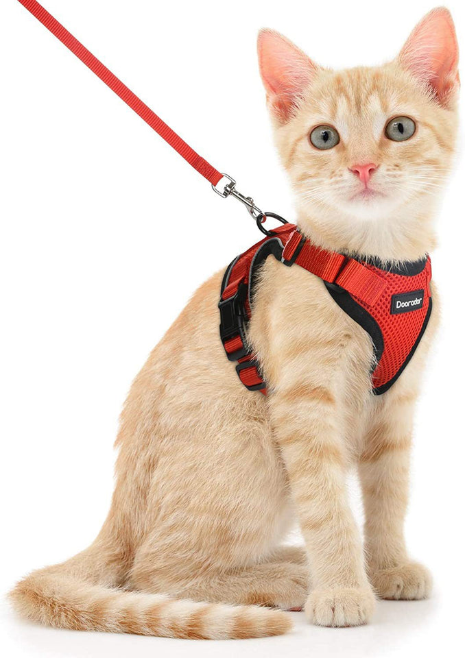 Cat Leash Anti-escape Adjustable