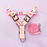 Pet Leash Hot Sale Cat Leash Dog Small And Medium-Sized Dog Wear-Resistant Cowboy Tractor