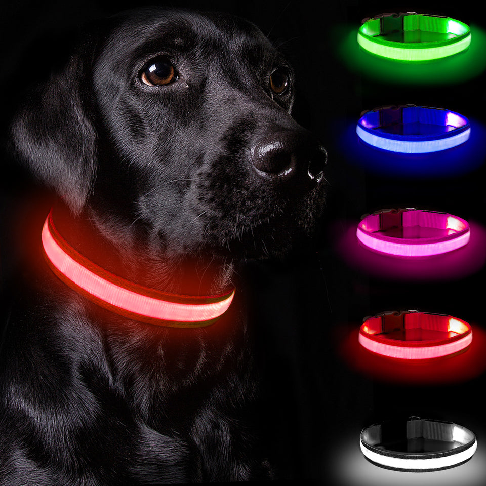 Light Up Dog Collar - Dog Collar Lights For The Dark Night, Adjustable Flashing Dog Collar Rechargeable, LED Dog Collar With 3 Flash Modes For Large, Medium And Small Dogs--Size M