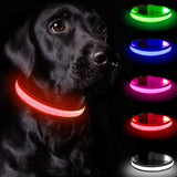 Light Up Dog Collar - Dog Collar Lights For The Dark Night, Adjustable Flashing Dog Collar Rechargeable, LED Dog Collar With 3 Flash Modes For Large, Medium And Small Dogs--Size M