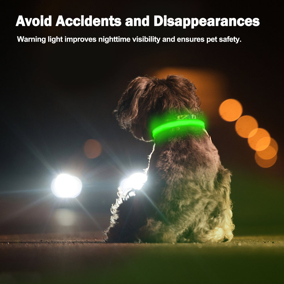 Light Up Dog Collar - Dog Collar Lights For The Dark Night, Adjustable Flashing Dog Collar Rechargeable, LED Dog Collar With 3 Flash Modes For Large, Medium And Small Dogs--Size M