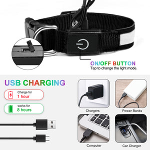 Light Up Dog Collar - Dog Collar Lights For The Dark Night, Adjustable Flashing Dog Collar Rechargeable, LED Dog Collar With 3 Flash Modes For Large, Medium And Small Dogs--Size M