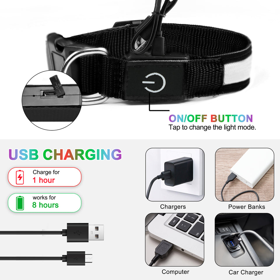Light Up Dog Collar - Dog Collar Lights For The Dark Night, Adjustable Flashing Dog Collar Rechargeable, LED Dog Collar With 3 Flash Modes For Large, Medium And Small Dogs--Size M