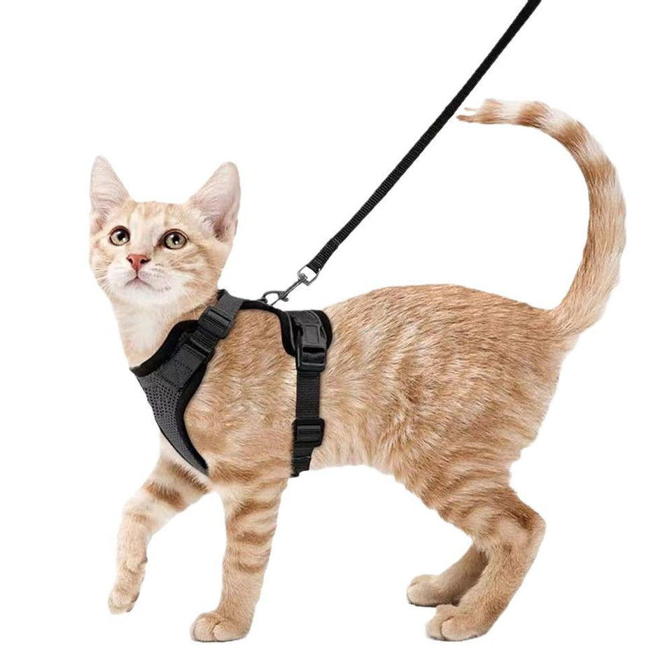 Cat Leash Anti-escape Adjustable