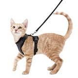 Cat Leash Anti-escape Adjustable